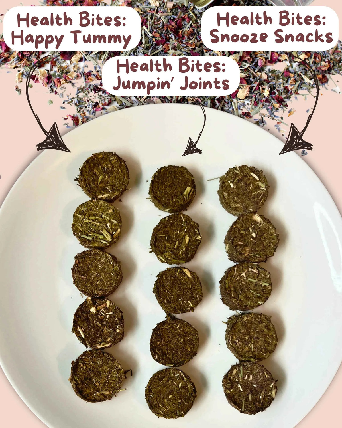 Health Bites: Happy Tummy