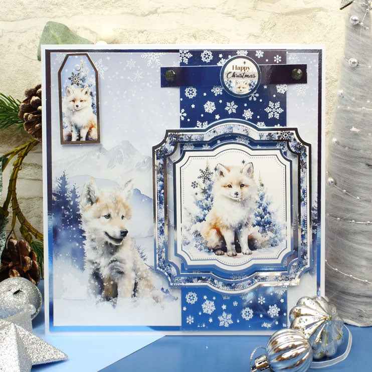 Snow Adorable Mirri Selection
