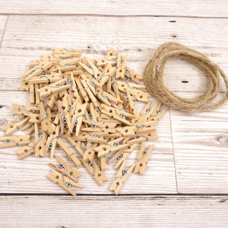 Mini Craft Pegs