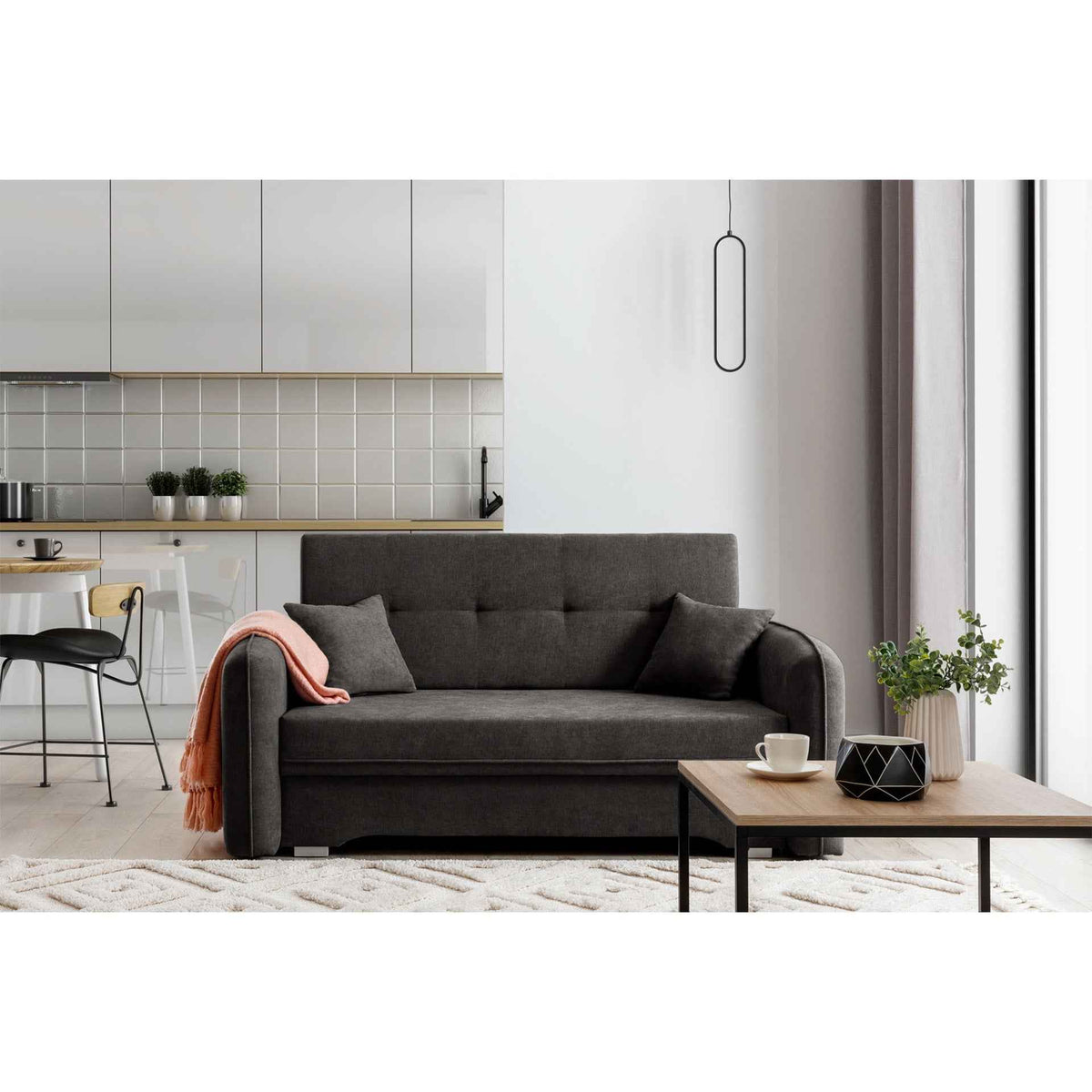Laine Condo Style 2 Seater Storage Sleeper Sofa - Dark Grey