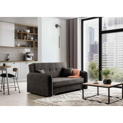 Laine Condo Style 2 Seater Storage Sleeper Sofa - Dark Grey
