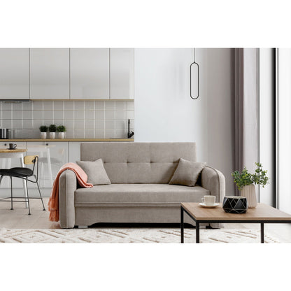 Laine Condo Style 2 Seater Storage Sleeper Sofa - Beige