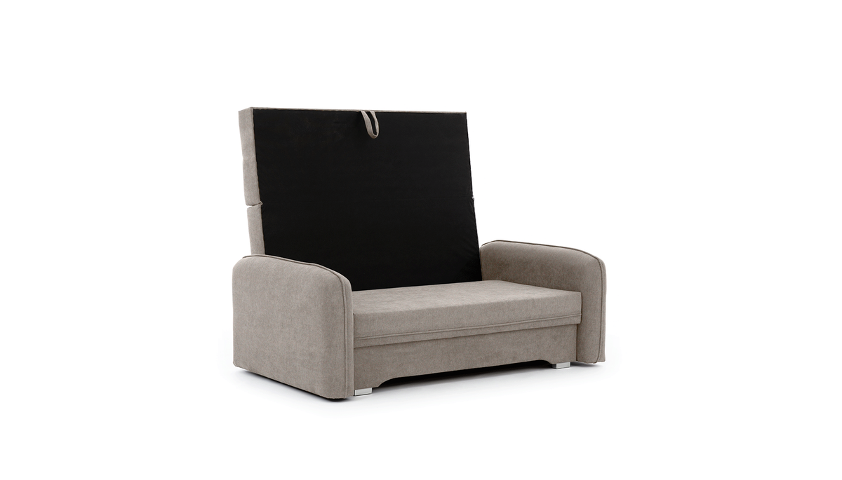 Laine Condo Style 2 Seater Storage Sleeper Sofa - Beige