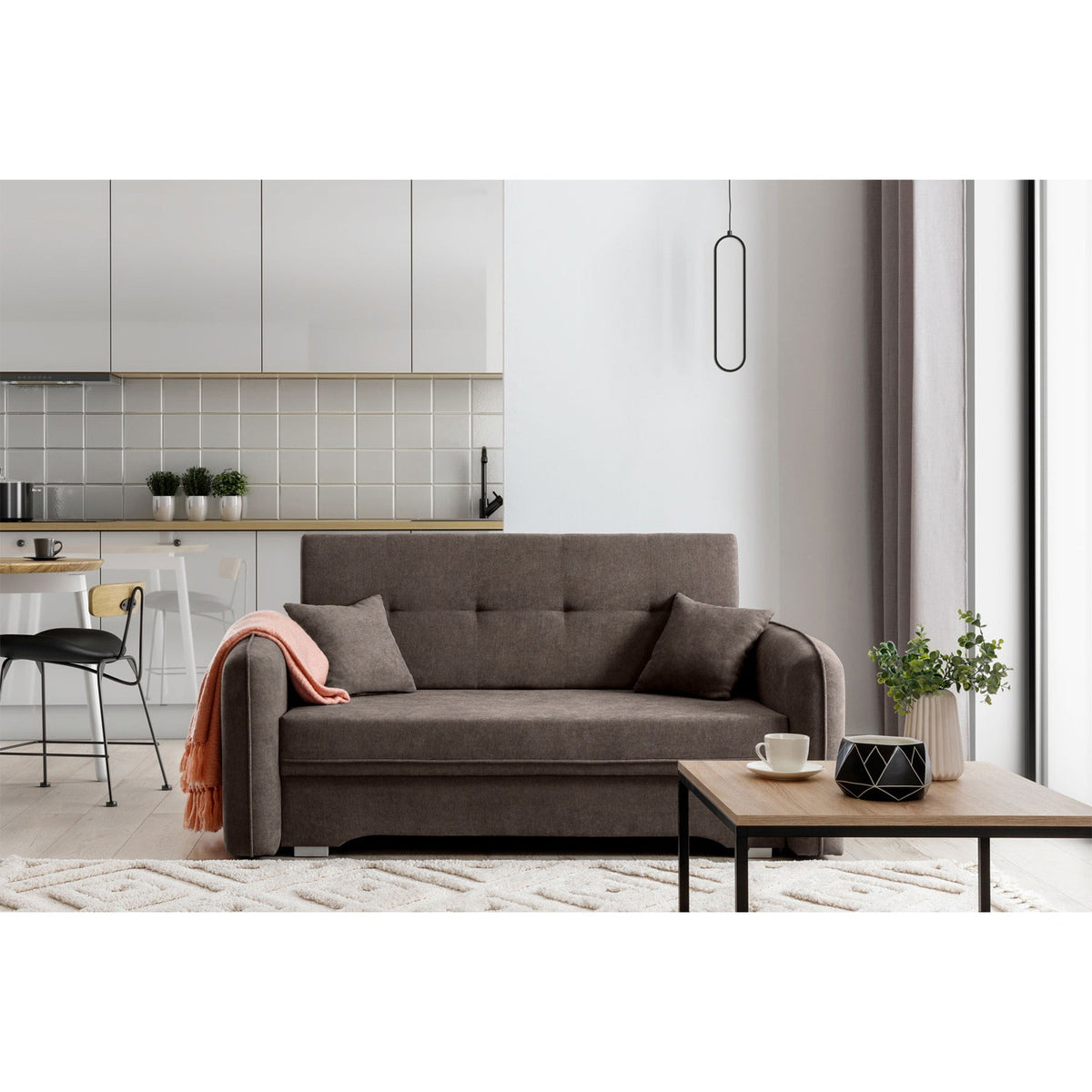 Laine Condo Style 2 Seater Storage Sleeper Sofa - Brown