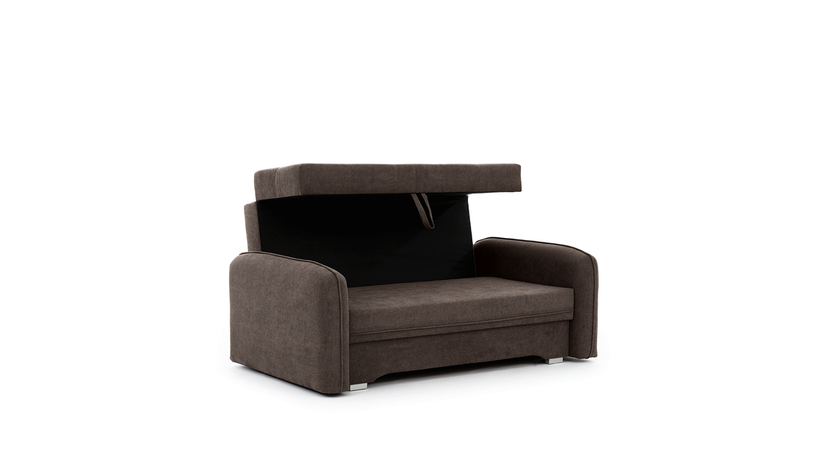 Laine Condo Style 2 Seater Storage Sleeper Sofa - Brown