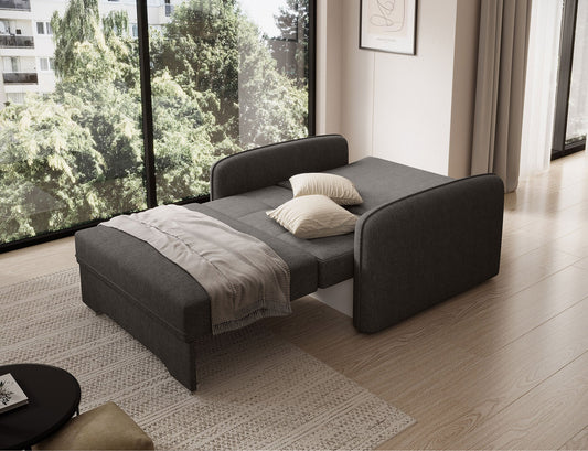 Laine Condo Style 1 Seater Storage Sleeper Sofa - Dark Grey