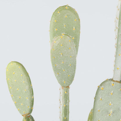 Solo Artificial Cactus Potted Plant 41''