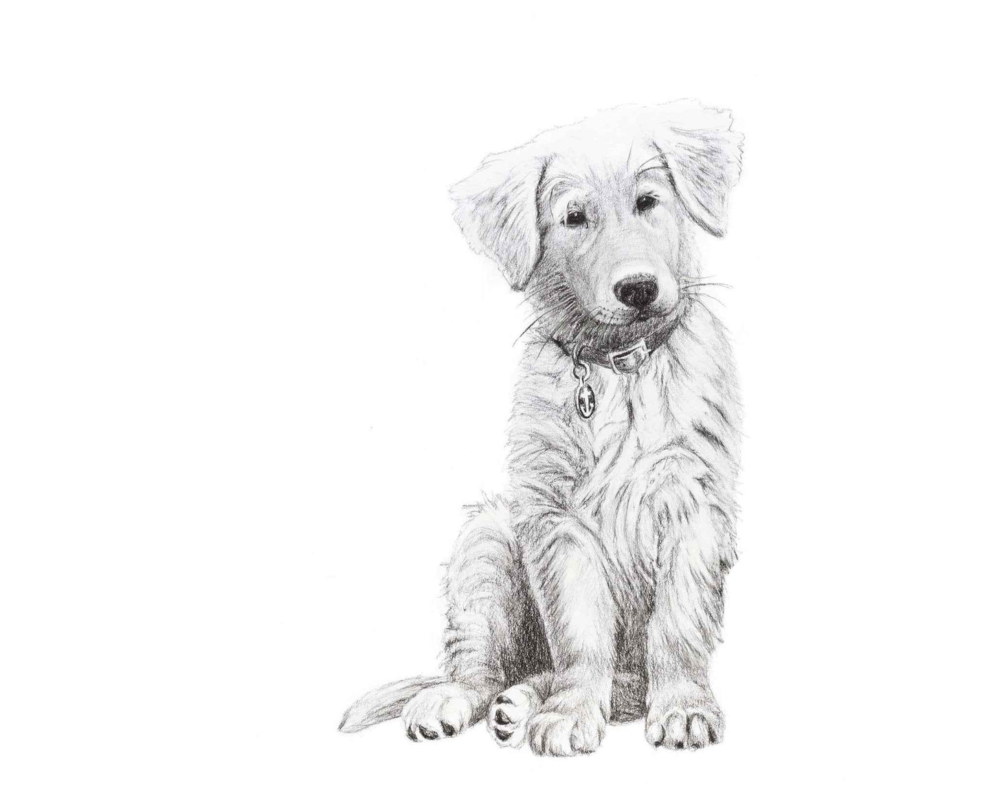 Dog - Baby Golden Retriever - Black and White Nursery Art Print