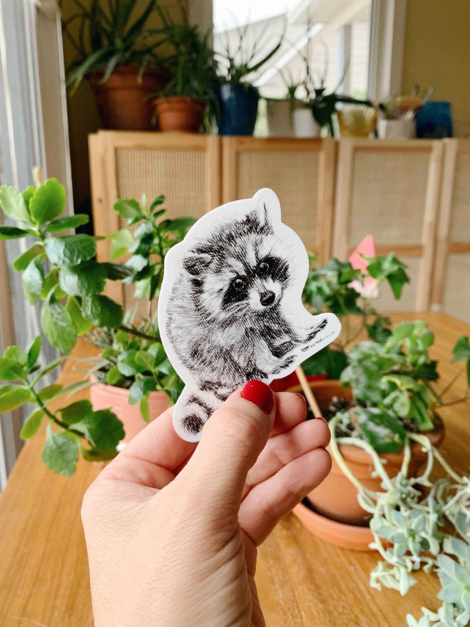 Adorable Raccoon Sticker for Water Bottle, Agenda or Computer