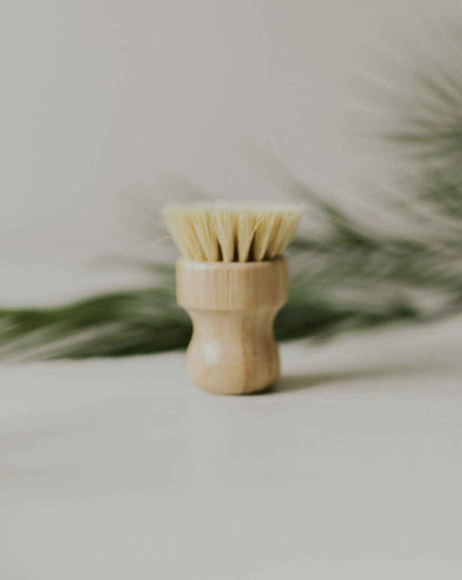 Bamboo Pot Brush