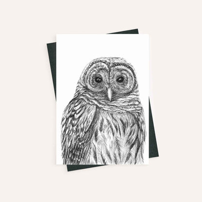 Barred Owl - greeting card