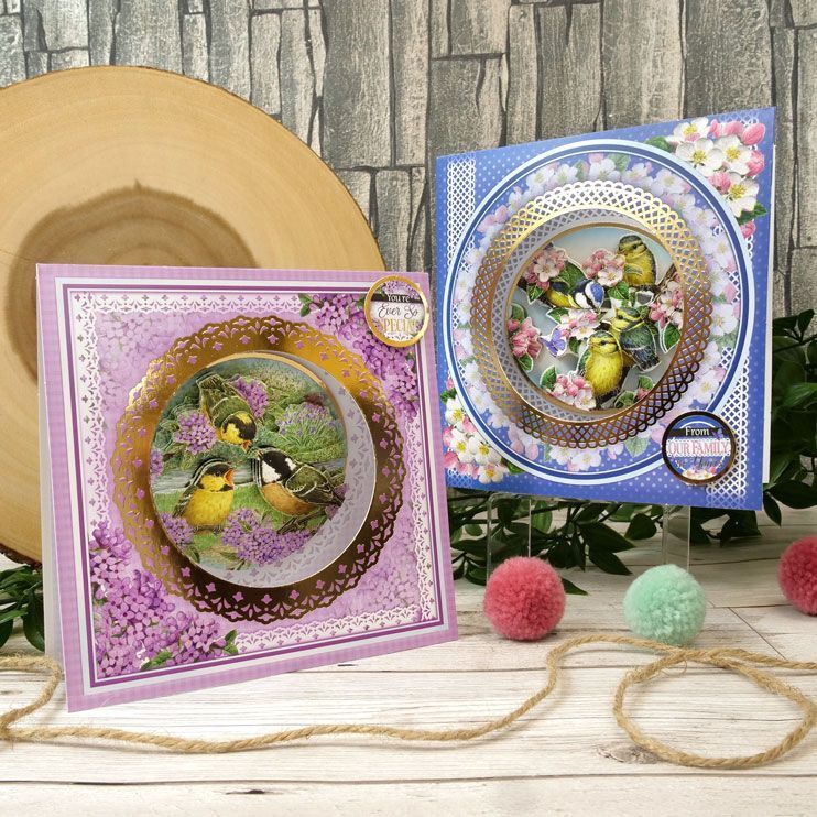 Delightful Birds - A New Season Decoupage Card Kit