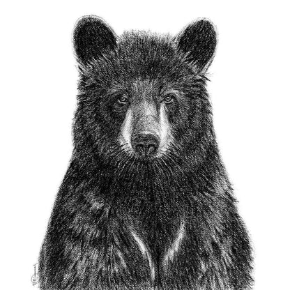 Black Bear - greeting card