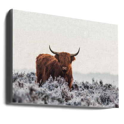 Wall Art Highlander