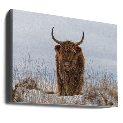 Wall Art Highlander in Snow