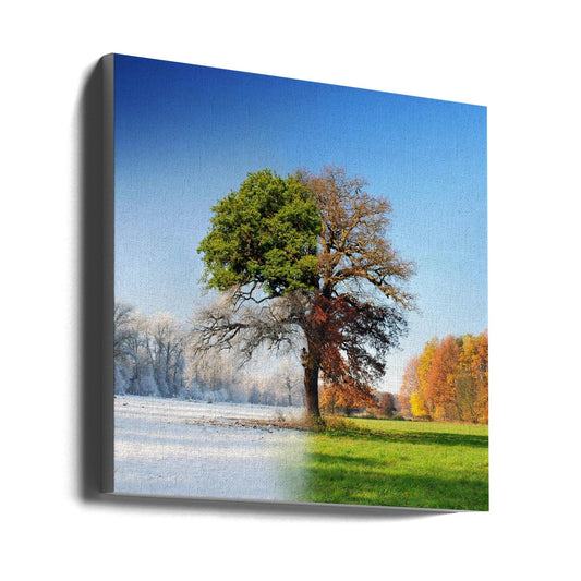 wall Art 4 seasons