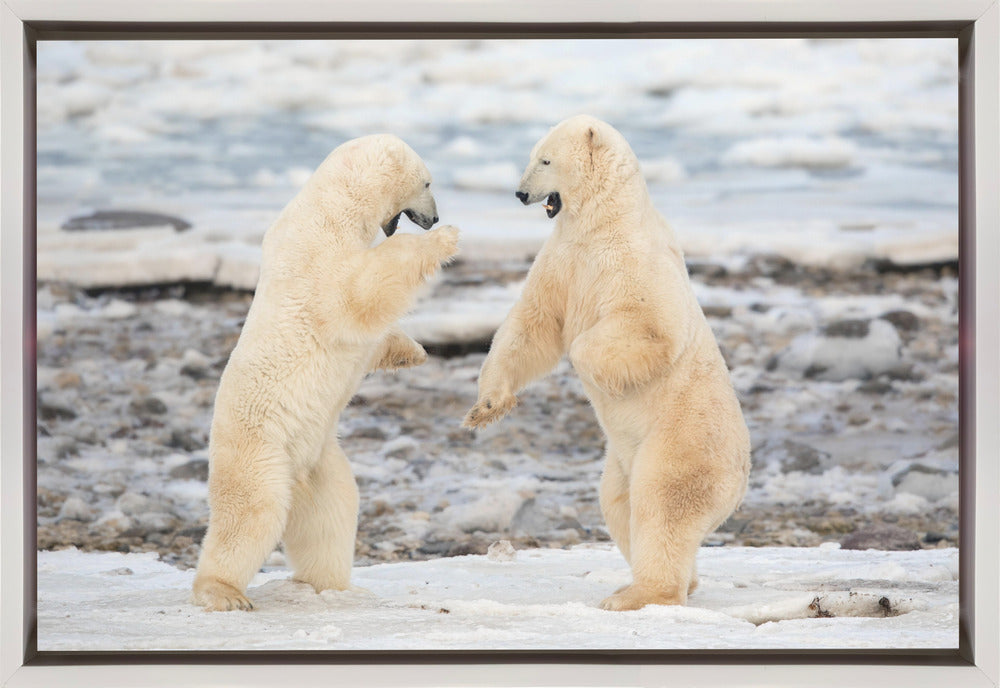 Wall art Fight !