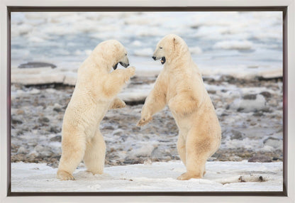 Wall art Fight !