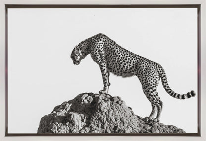 Wall Art the hunter