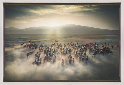 Wild Horses