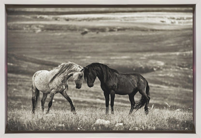 Wall art close encounter