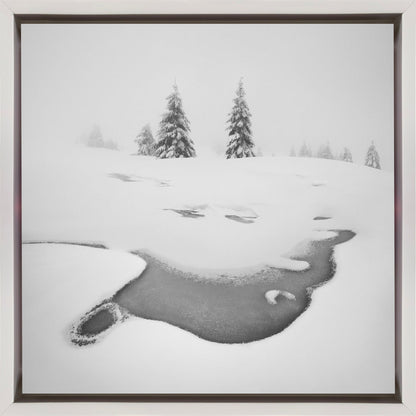 Wall art Frozen swamps