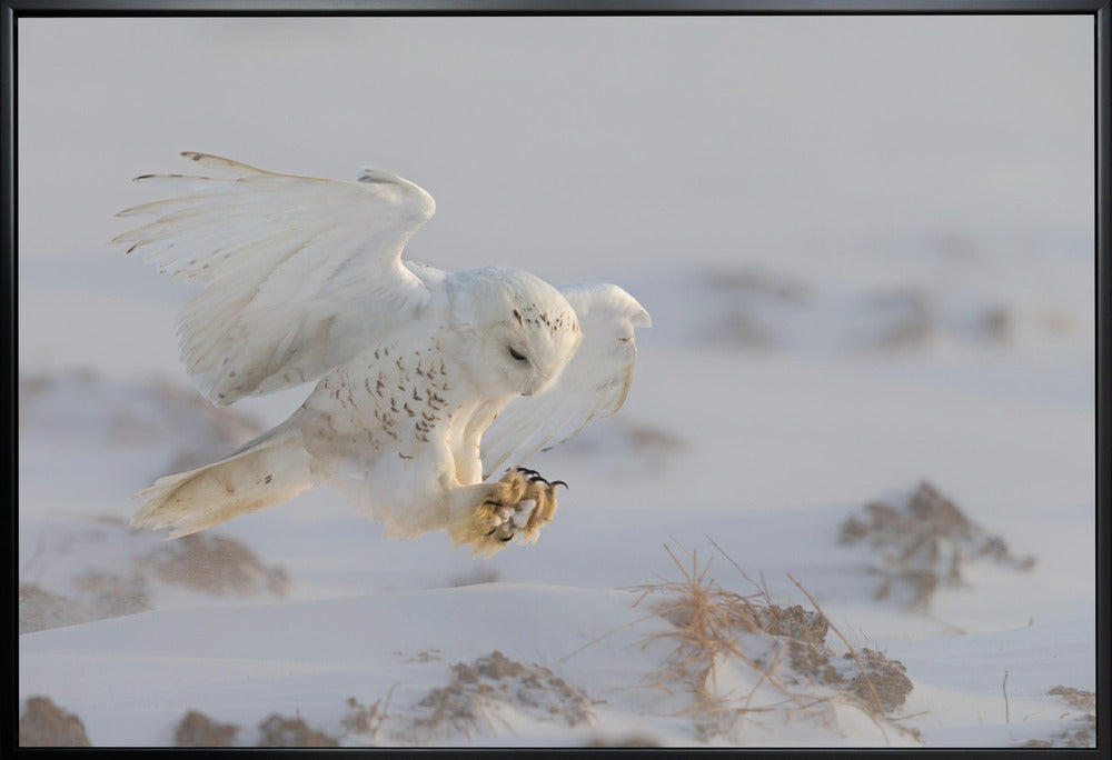 Wall art Landing