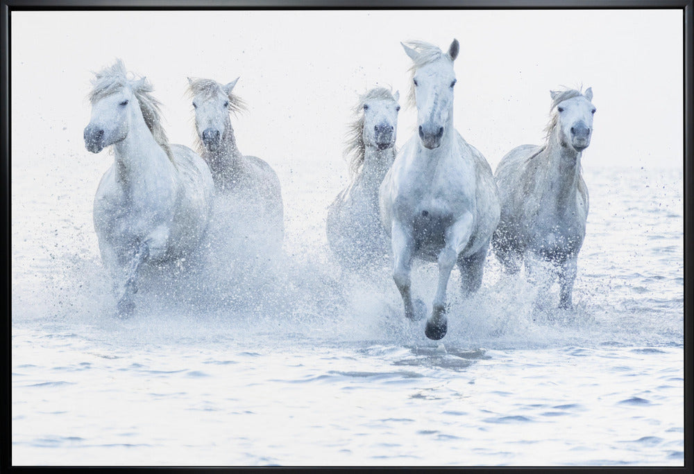 Wall Art Horses on the Run