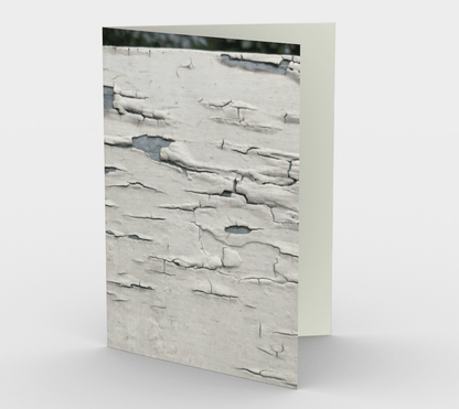 Set of 3 Blank Greeting Cards | 5 x 7 | Chipped Paint