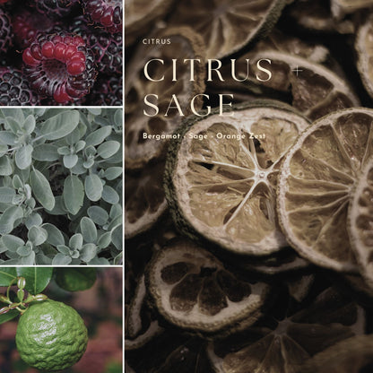 Gourmand, Fruit & Citrus Reed Diffuser Oil Refill