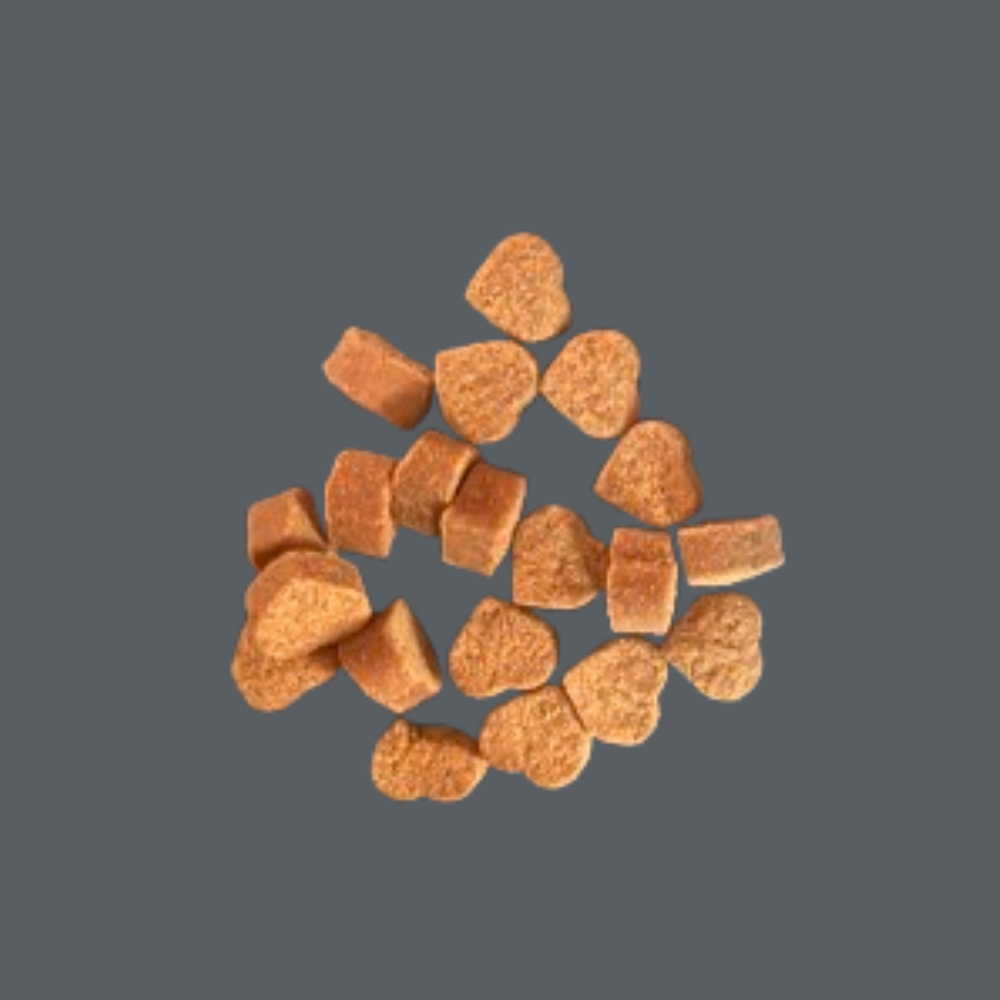 Gâterie calmante pour chien