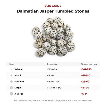 Dalmatian Jasper Tumbled Stones