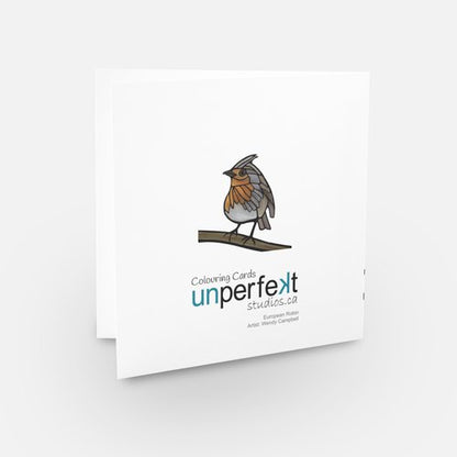 Colouring Greeting Card - European Robin