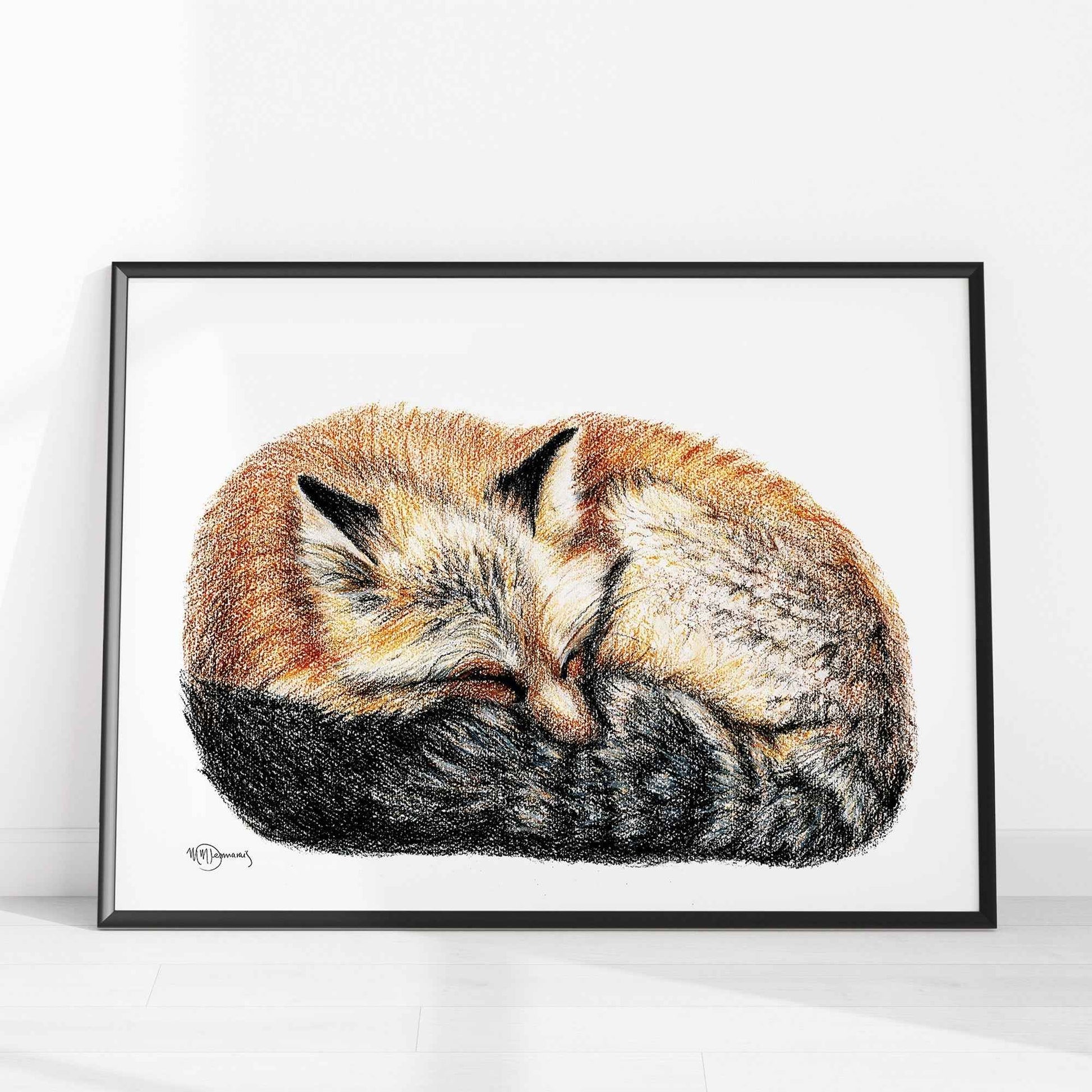 Fox sleeping - curled into a ball -  Colored  animal art print