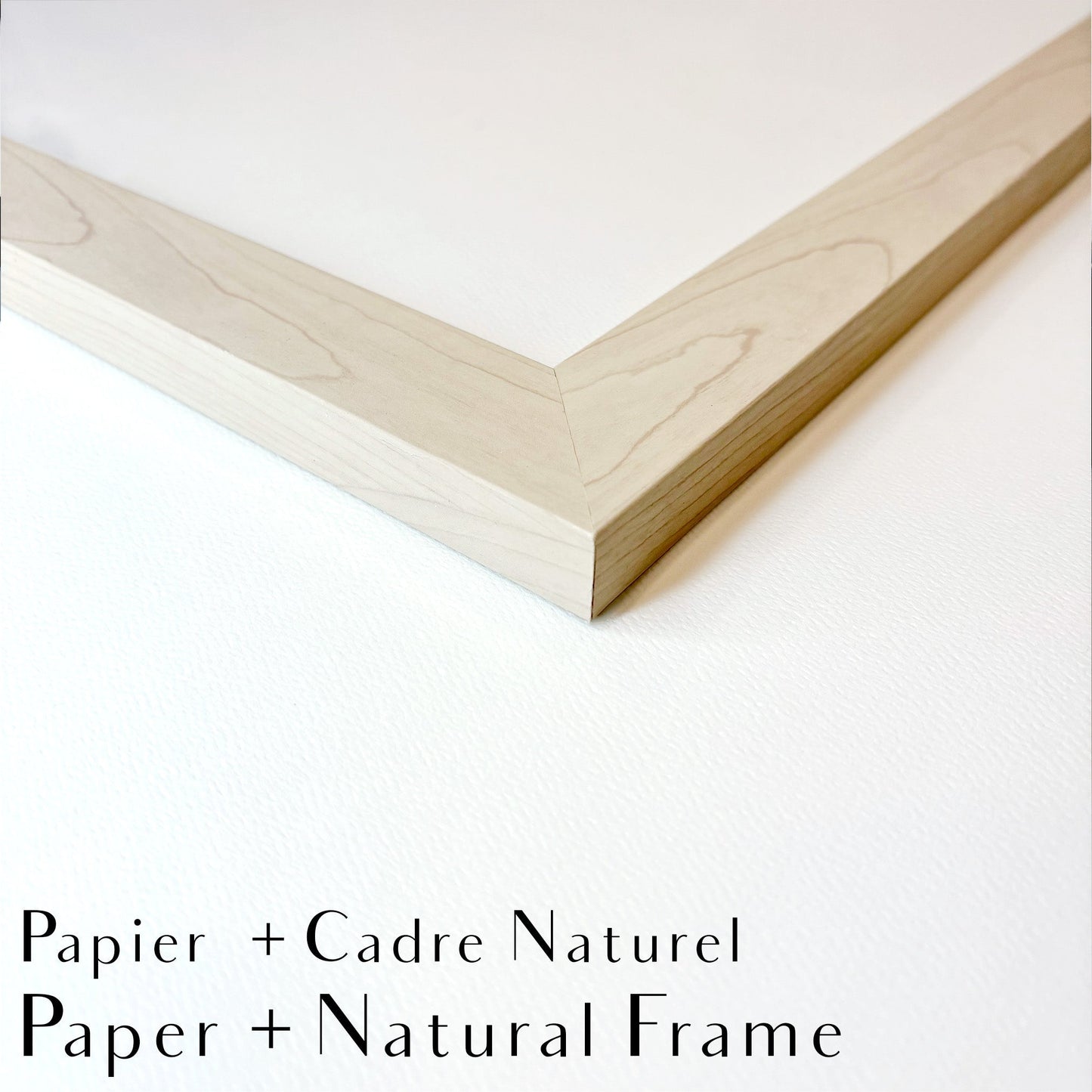 Grizzly with Birds - Woodland Animal Wall Art