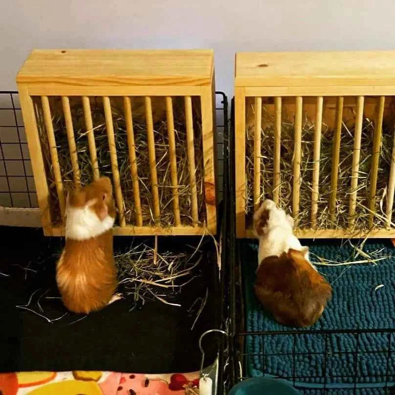 Mounted Hay Feeder for Rabbits & Guinea Pigs