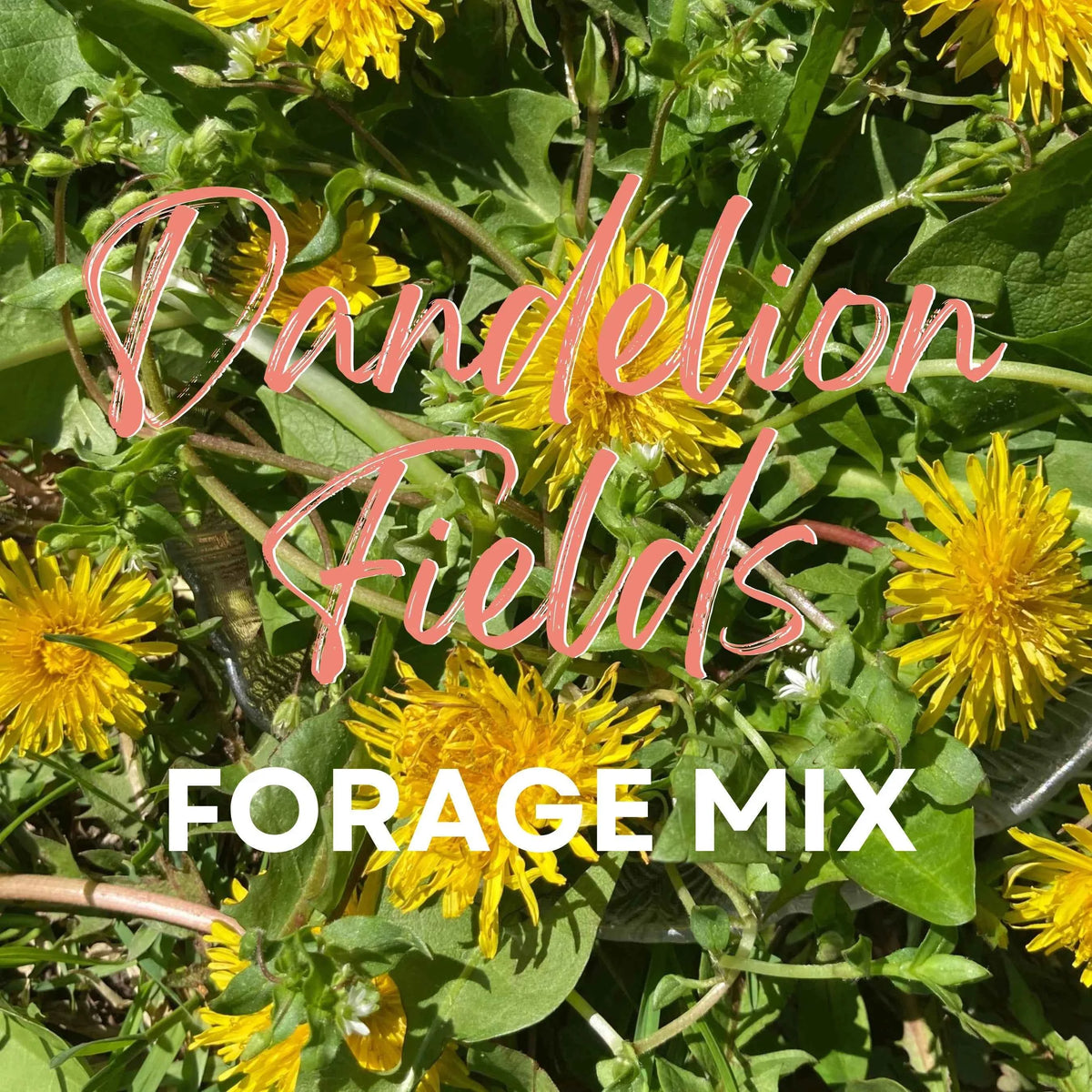 "Dandelion Fields" Hay Topper