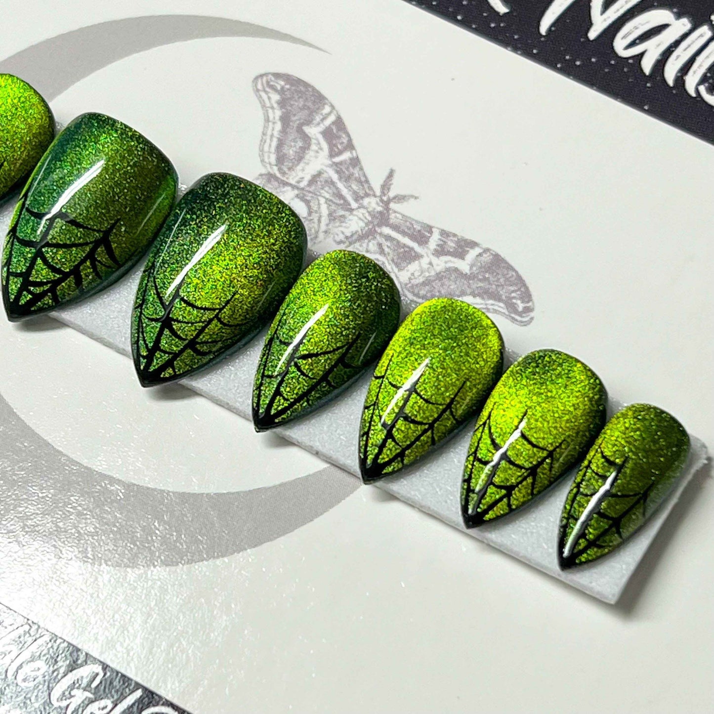 Wicked Webs