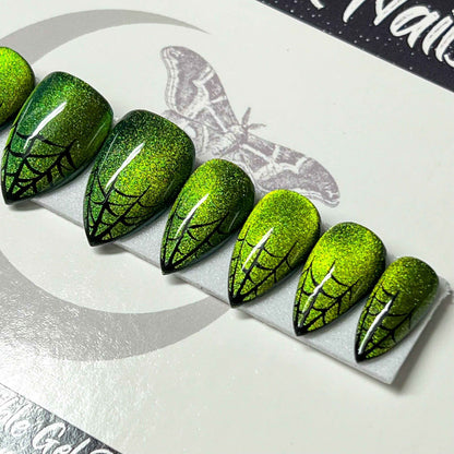 Wicked Webs