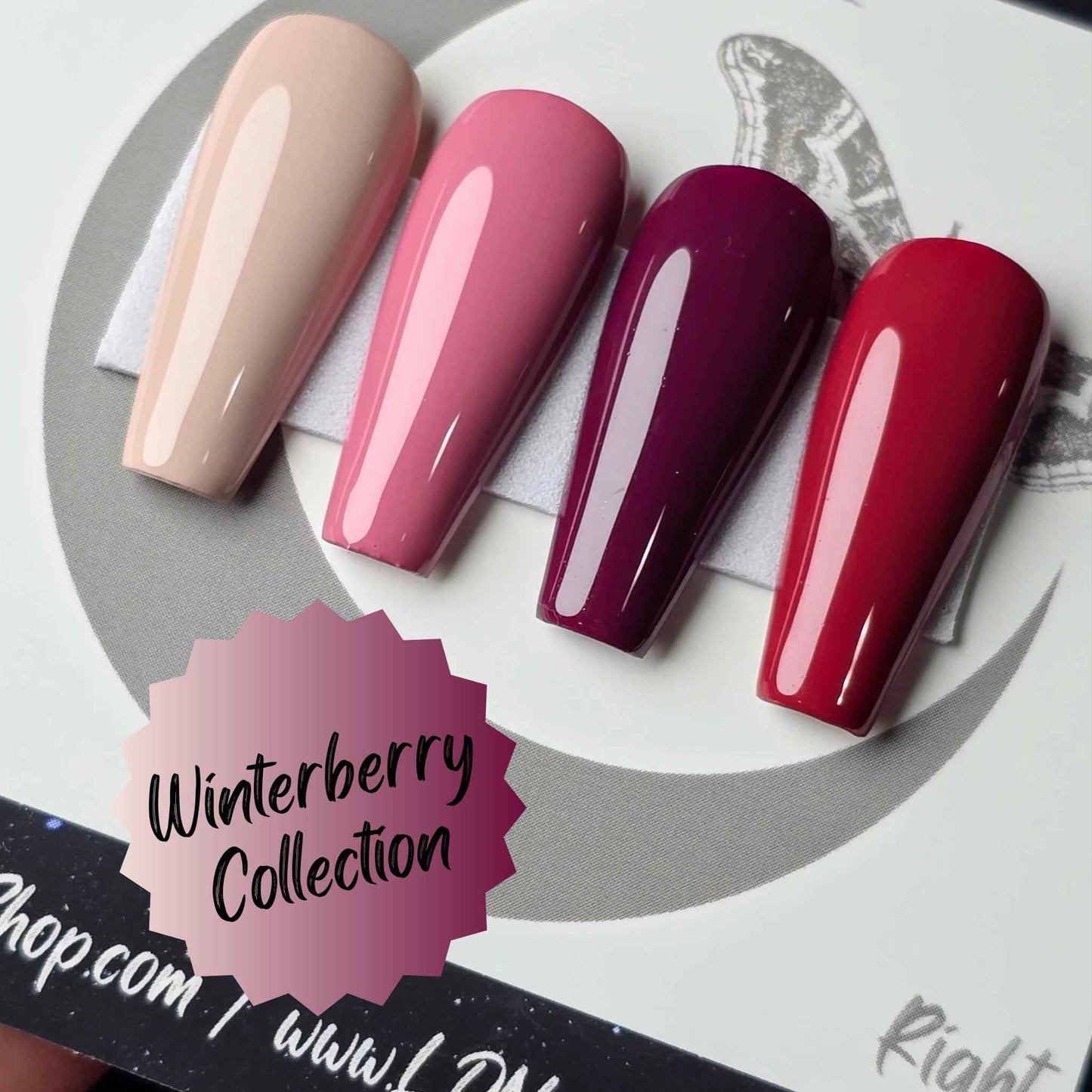 Winterberry Collection