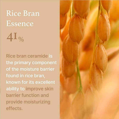 I'm From Rice Cream 50g