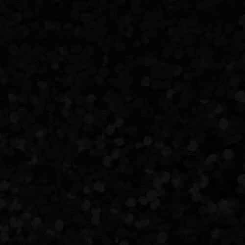 Craft Holographic HTV Black