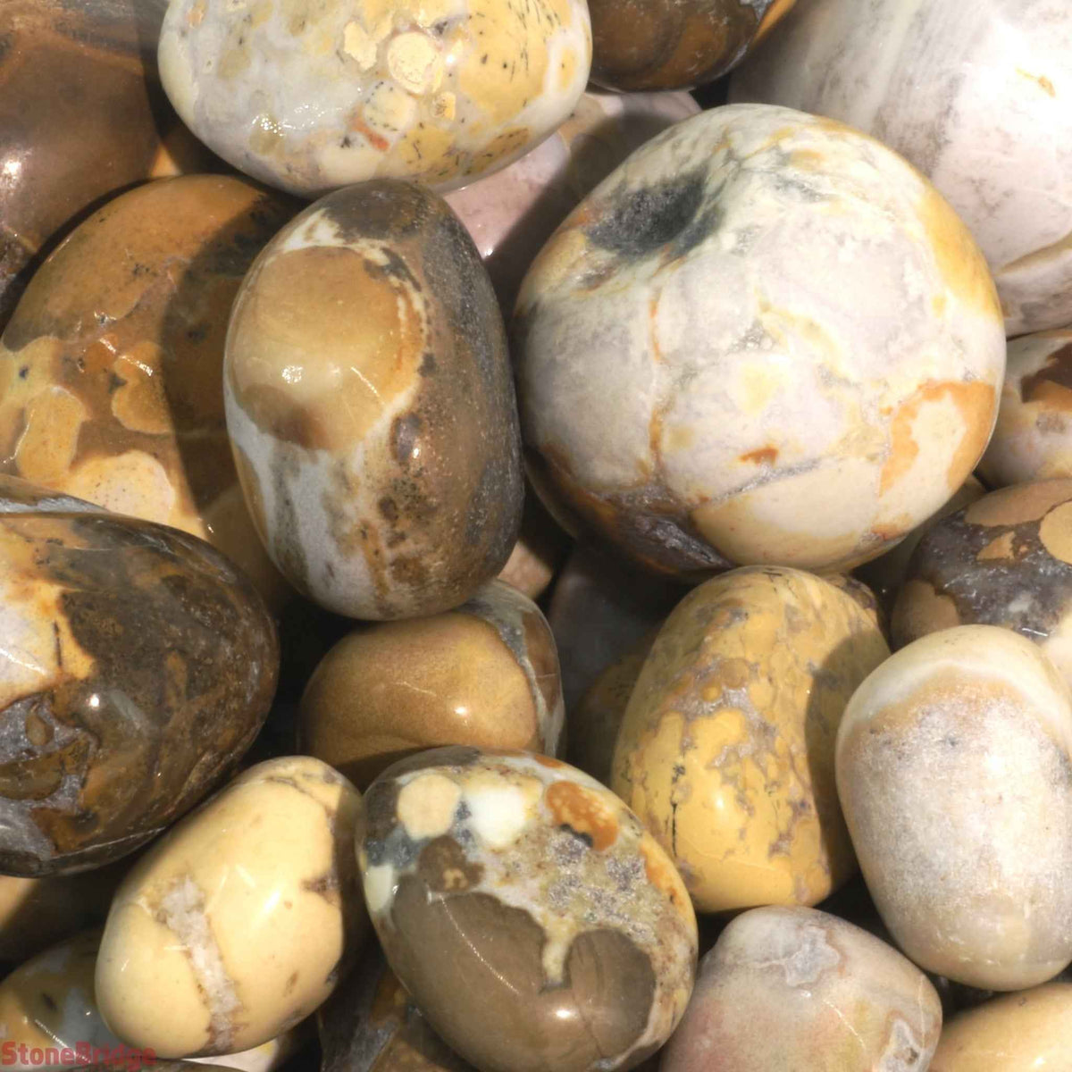 Orbicular Jasper Tumbled Stones - India