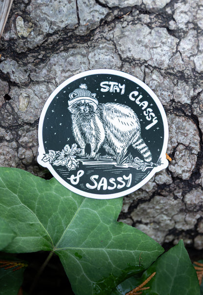 RACCOON Eco Vinyl Stickers