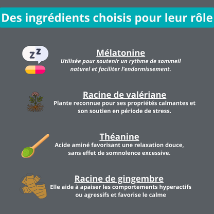 Gâterie calmante pour chien