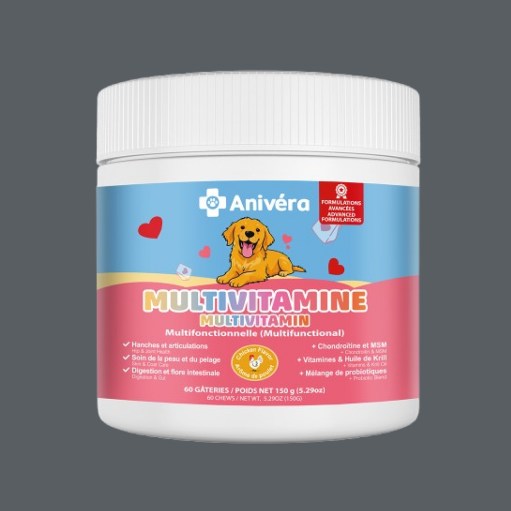 Gâterie multivitamine pour chien