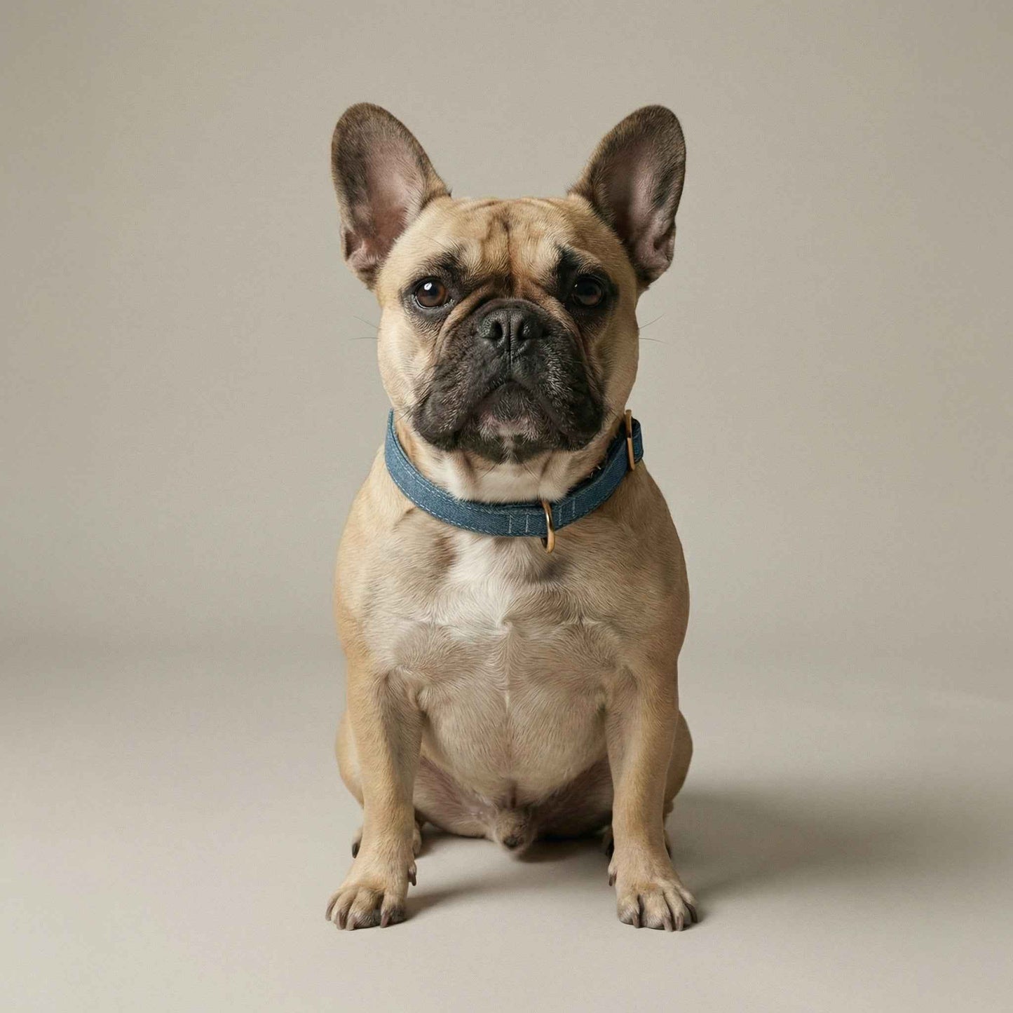 Denim Collar