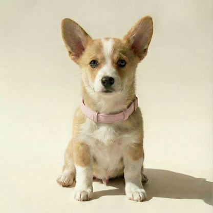 Tweed Collar