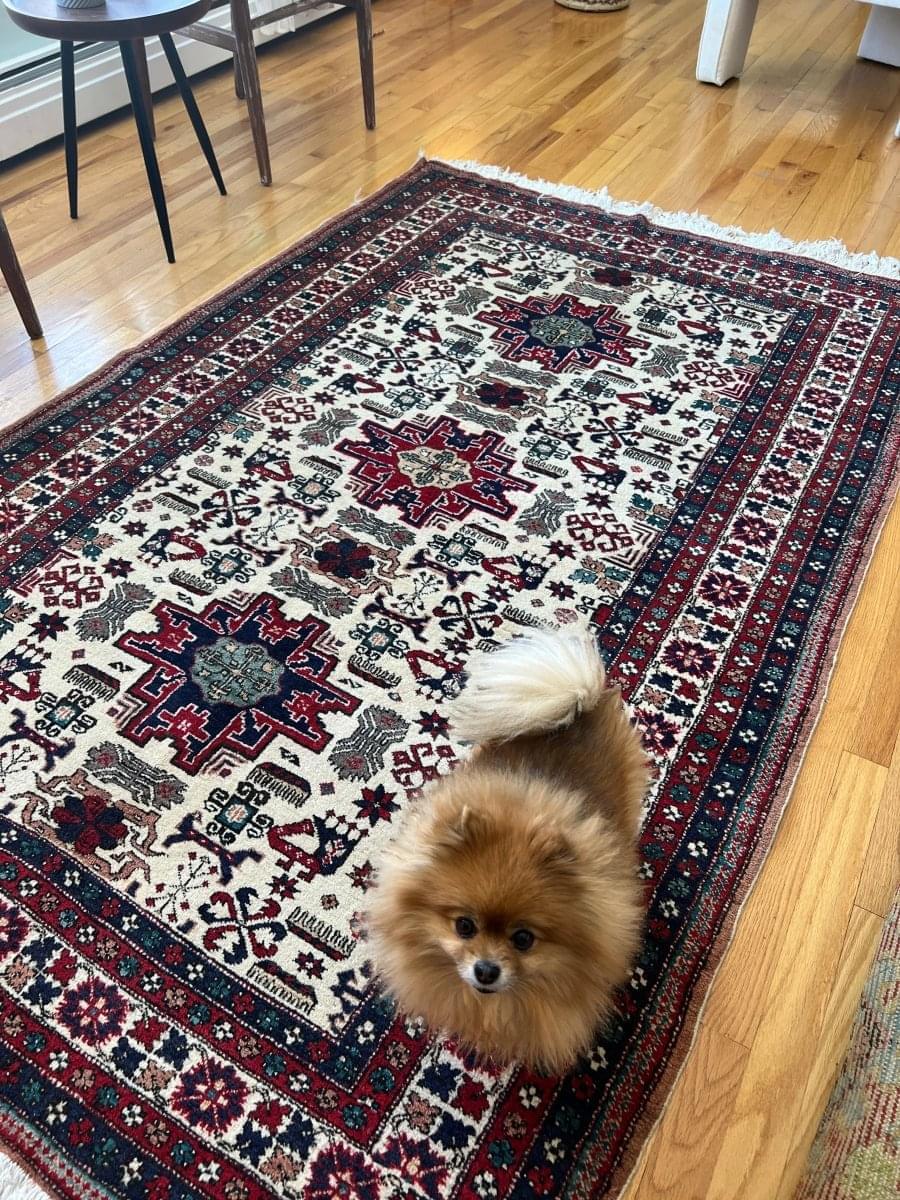 Persian Ardabil Rug | 7' 1" x 4' 8"