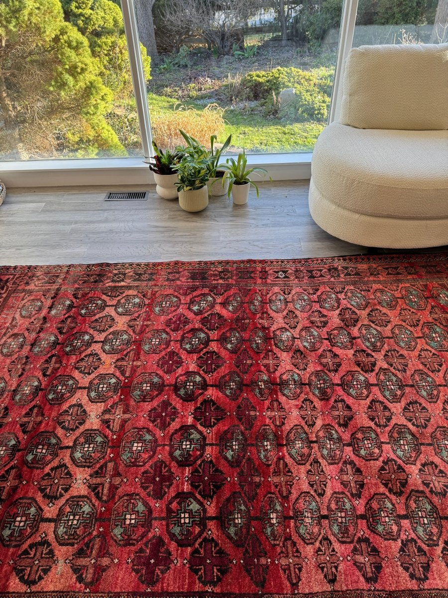 Persian Baluch Rug | 5' 7" x 8'